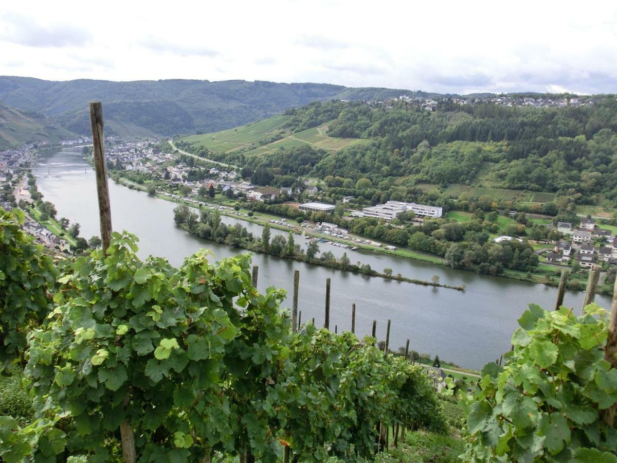 Ferienwohnung Beim Winzer Zell Exterior foto